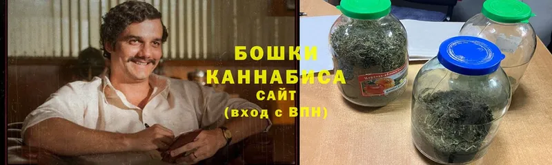 Галлюциногенные грибы Мышкин